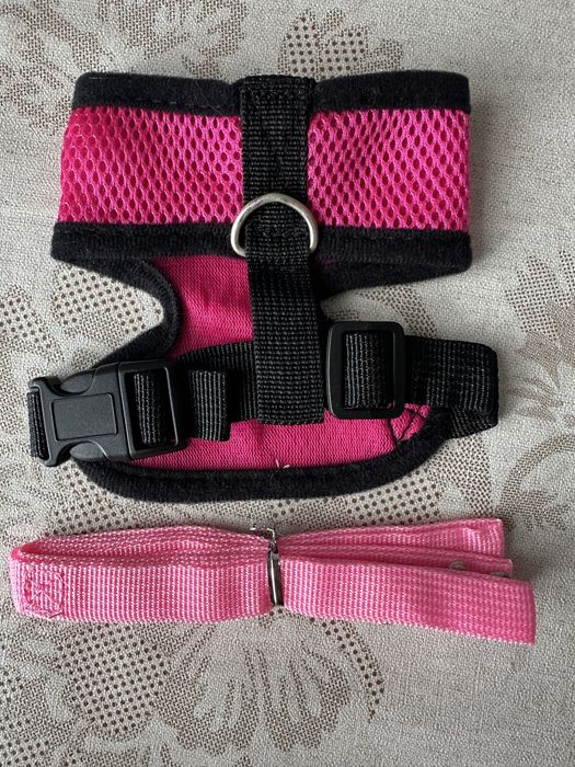 Ошийник для маленької собачки/кішки