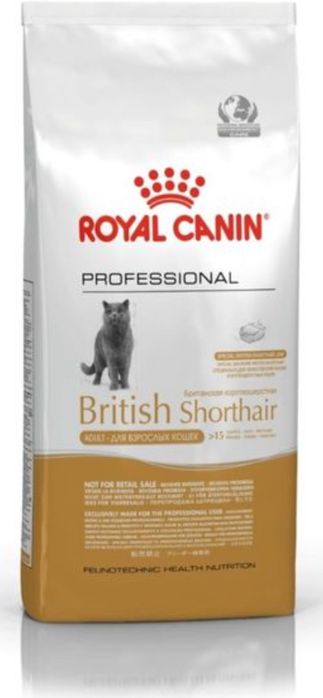 13kg British Shorhair Adult Koty Brytyjskie Royal Canin RC RoyalCanin