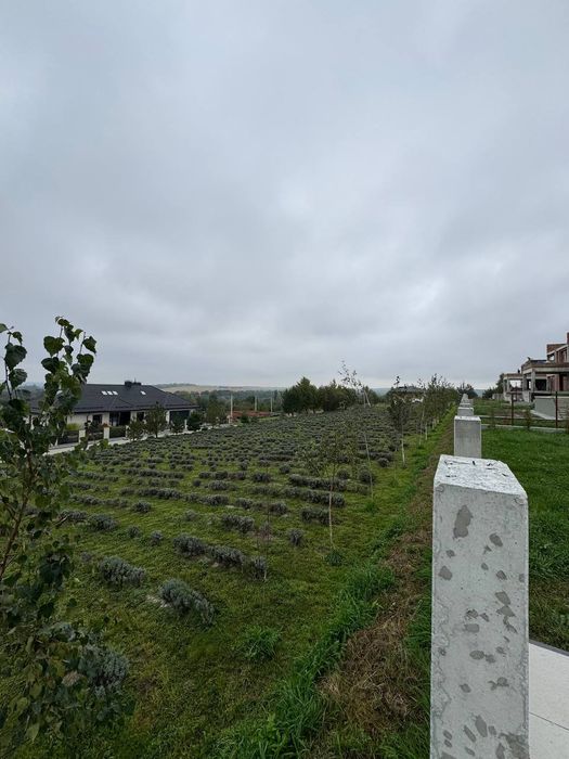 Продаж будику з надзвичайним краєвидом