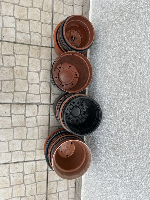 Vendo variedade de vasos .