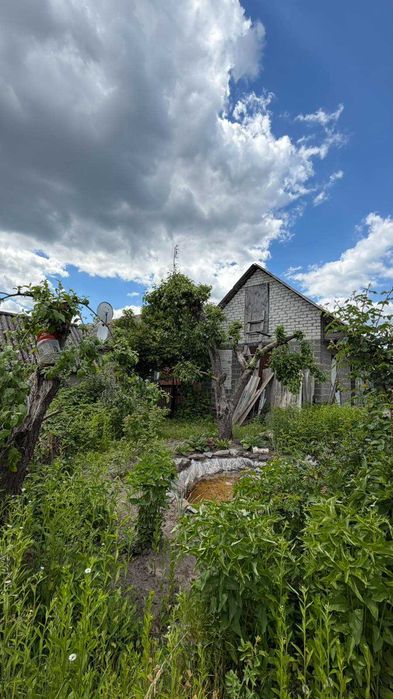Продам крепкий дом в центре с. Буды (ул. Сковороды)