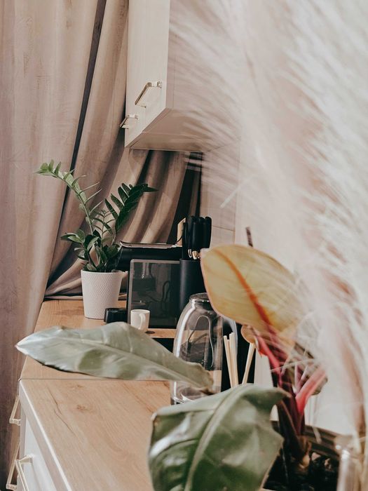 NOWY Apartament - Stare Miasto - Widok na ratusz -  - TELEFON: 572-527-525