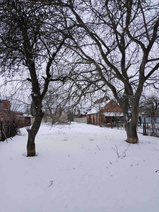 У продажу земельна ділянка по вул. Бучми з виходом на сусідню вулицю.