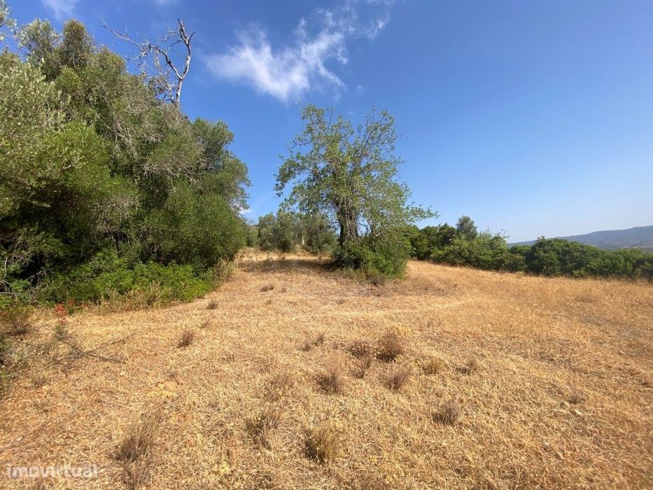 Lote de Terreno Rústico no Serro dos Passarinhos, Loulé, Algarve