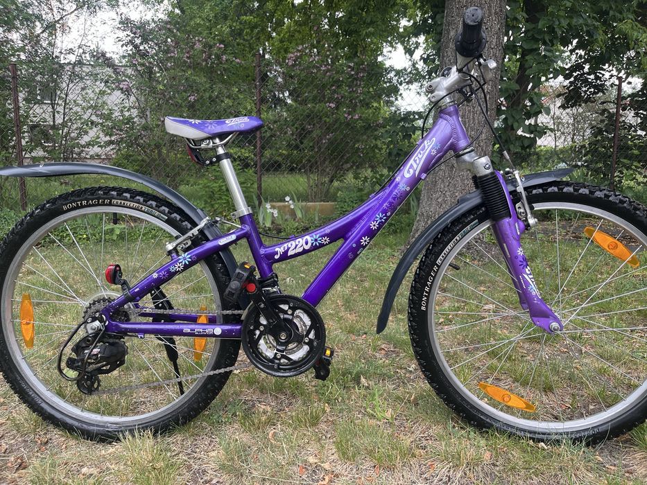 Rower dziecięcy TREK Mt 220