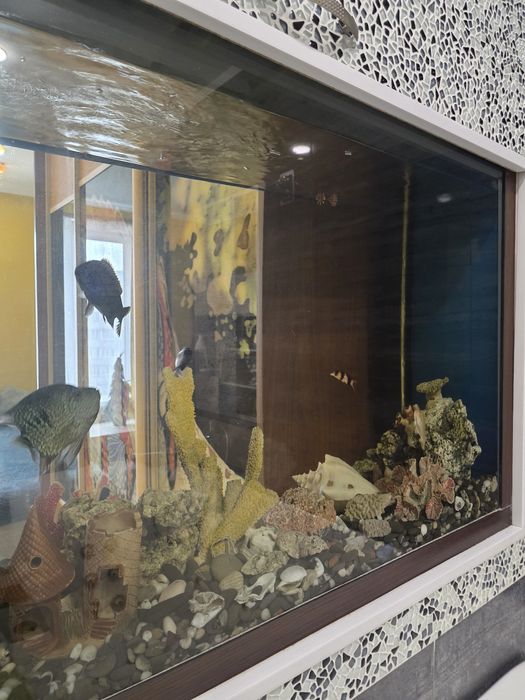 Без%.Краса.ЖК Ліко-Град