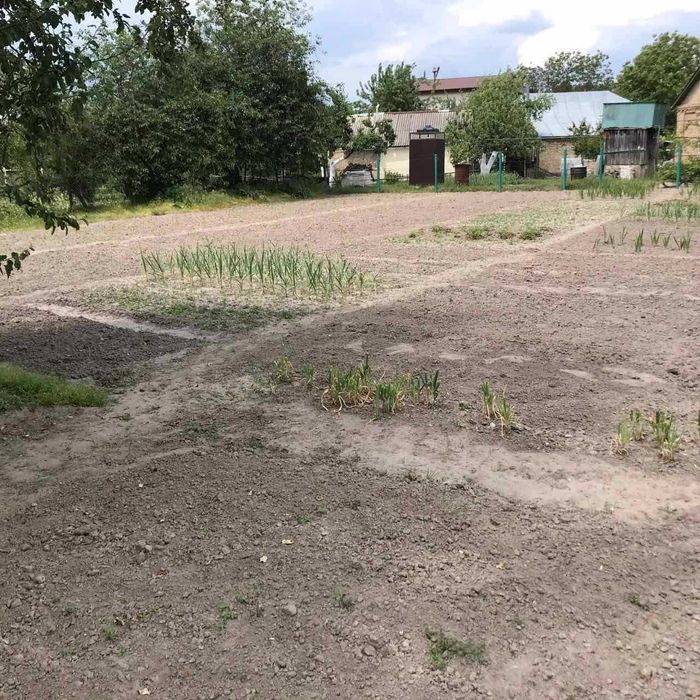 Фасадна ділянка 13,5 соток у Лісовій Бучі