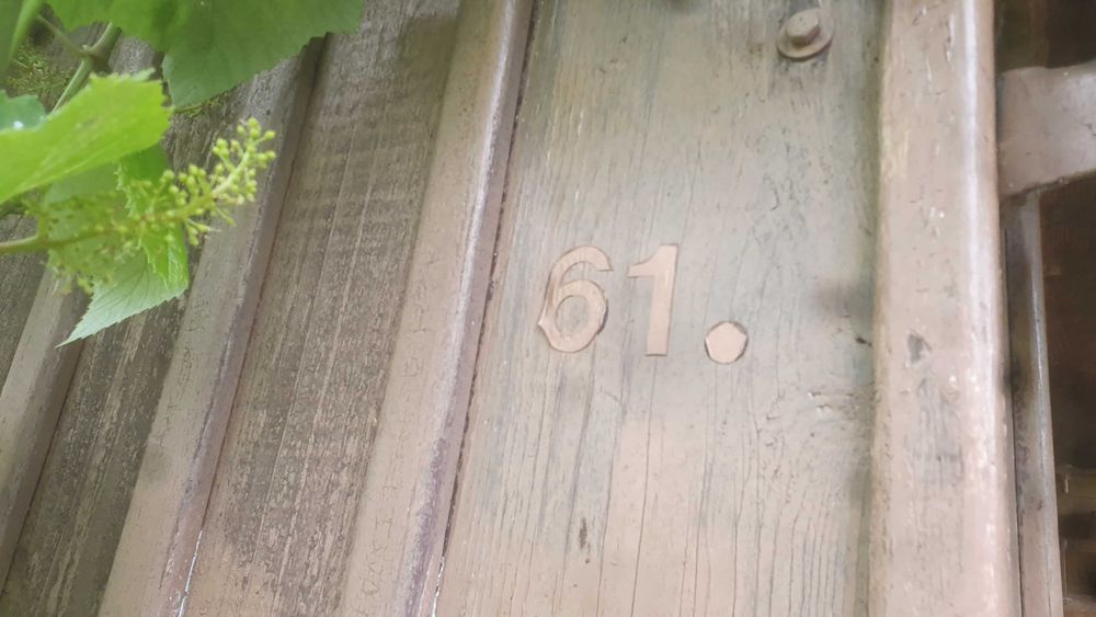 Zadbana działka rekreacyjna - ogródek działkowy - ul. 26 Marca 51 - za szpitalem - Widok 5