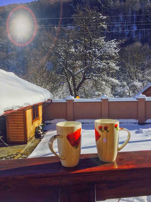 Котедж будинок в горах! Яремче Карпати Буковель. Акція!