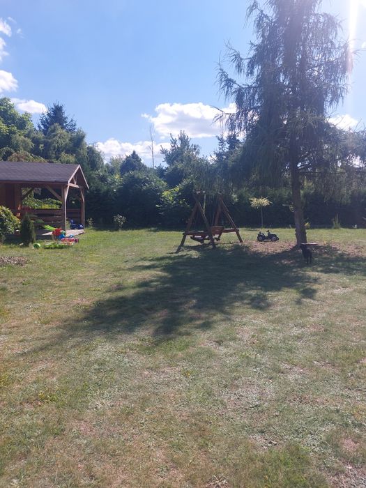 Zdjęcie 2