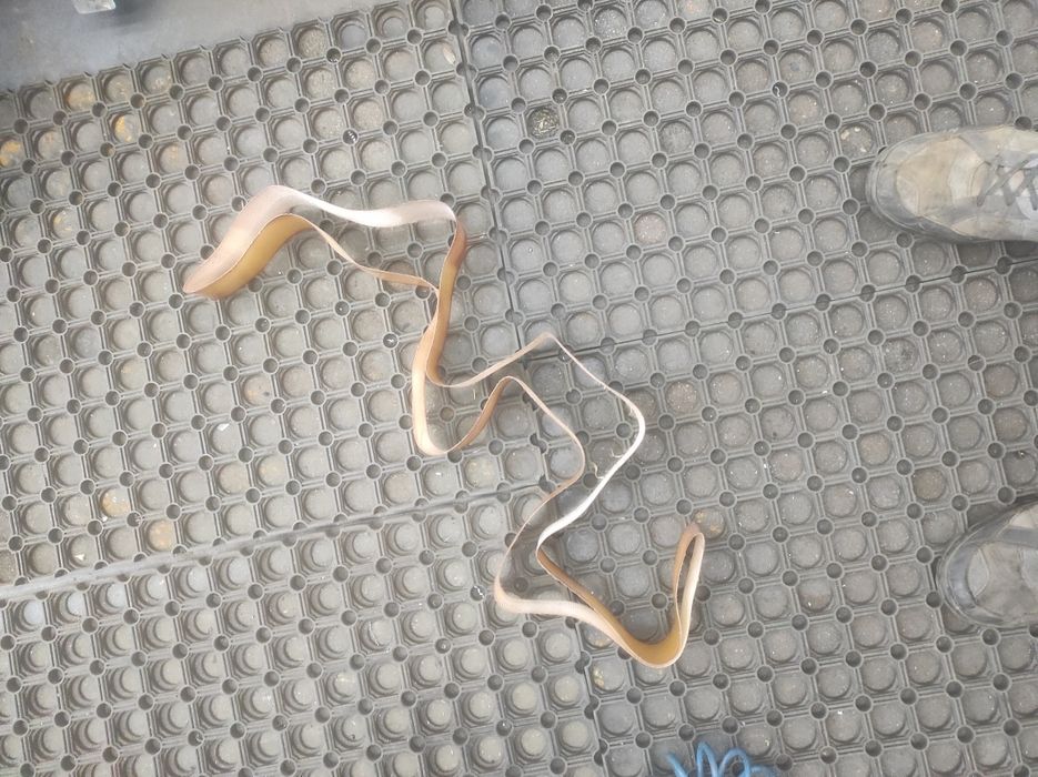 Ремінь для верстата