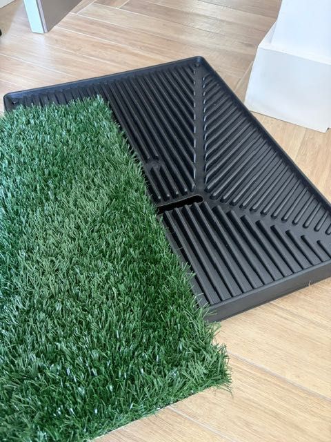 Dog toilet - indoor - unused