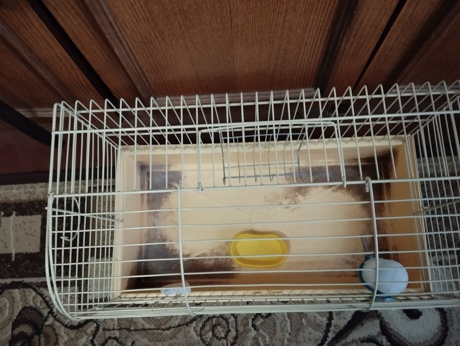 Продам клітку для кролика,морських свинок,хомяків
