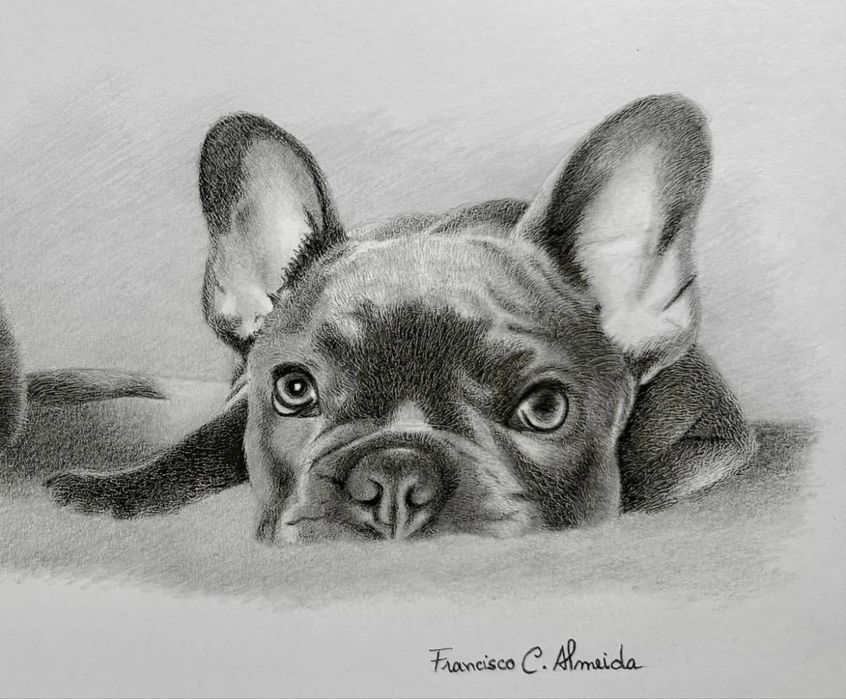 Realizo retratos a carvão (A3)