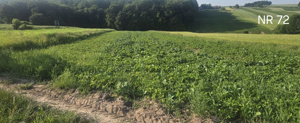 Sprzedam pole 7,6ha działki