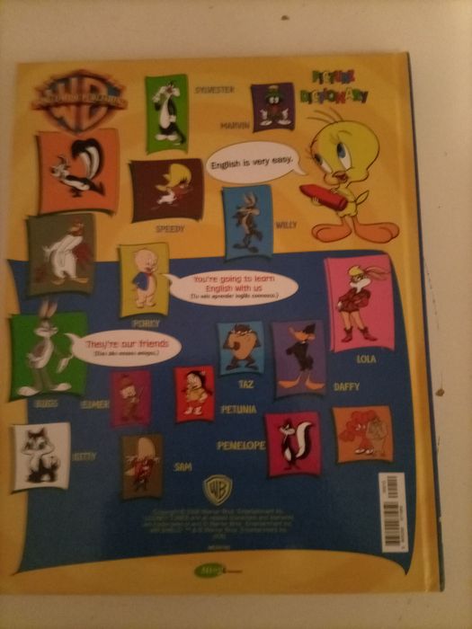 Livro English junior n°12