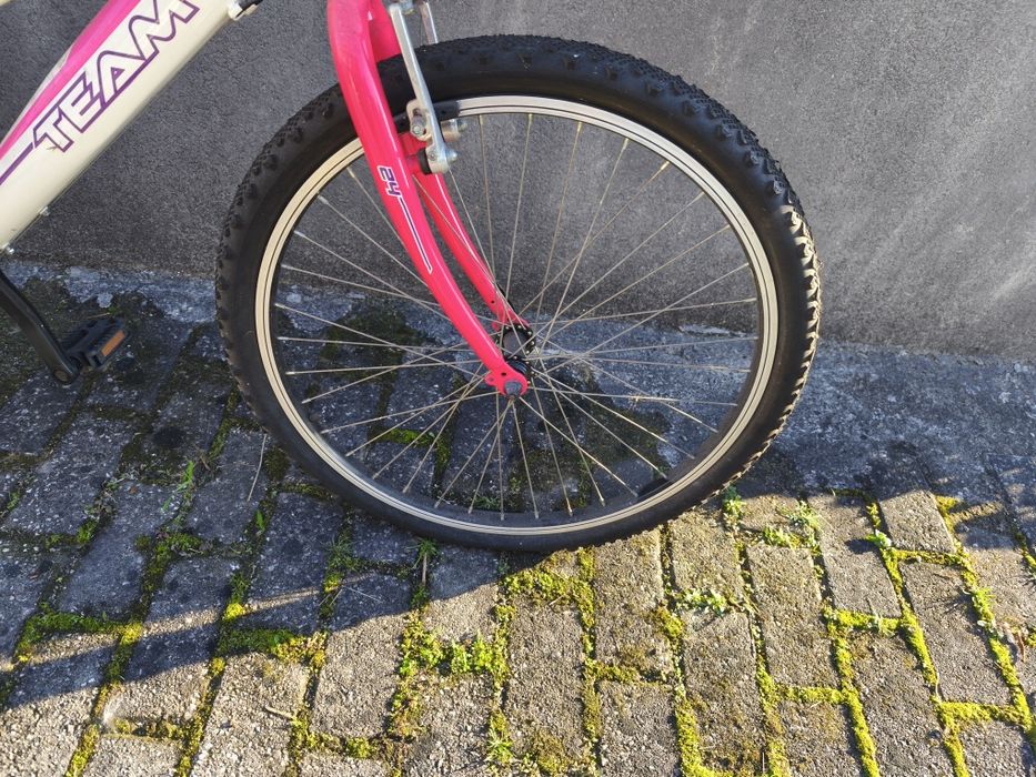 Bicicleta de Adolescente