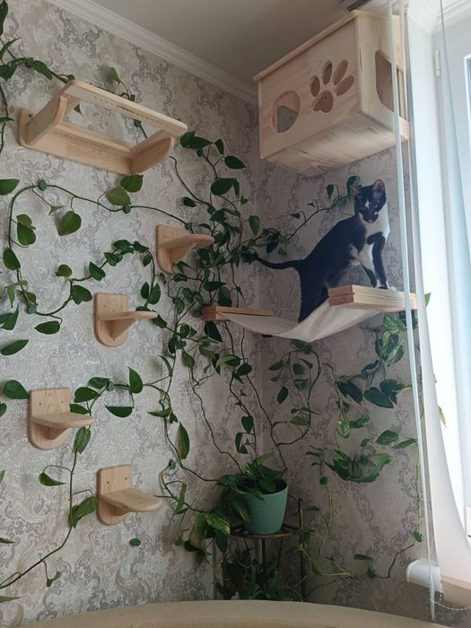 Полки, кігтеточки, будинки, лазелки для котиків