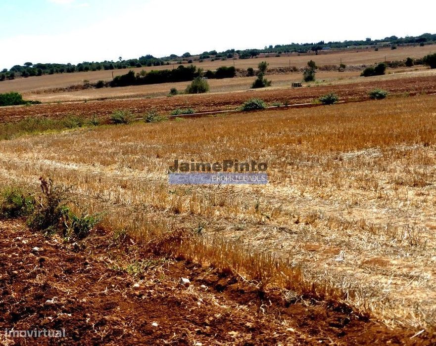 30ha terra agrícola com água. Portugal, Figueira de Castelo Rodrigo. — Figueira de Castelo Rodrigo, Guarda