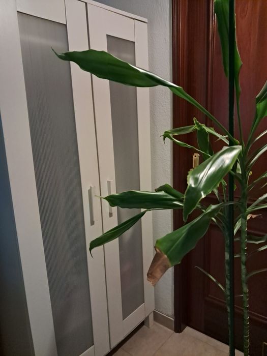 Roupeiro ikea aneboda