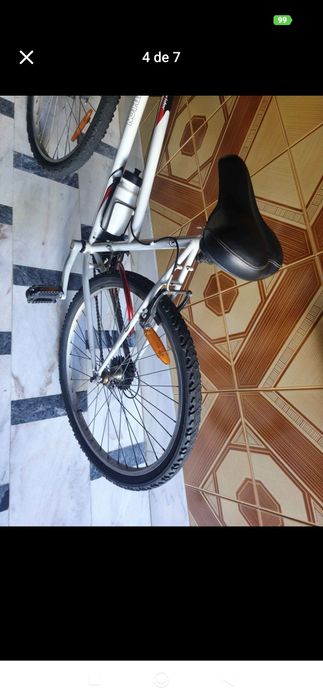 Bicicleta de adulto