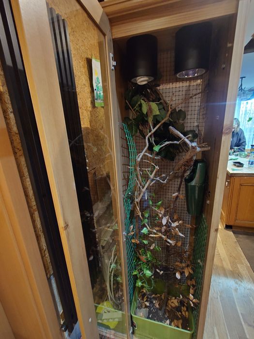 Terrarium dla kameleona i nie tylko