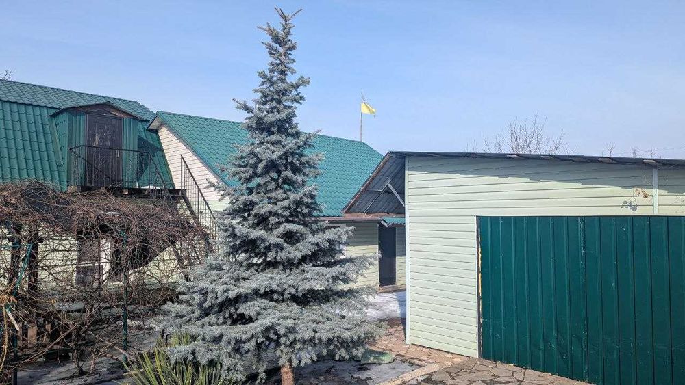 Продається будинок в Решетилівці! Без комісії для покупця!