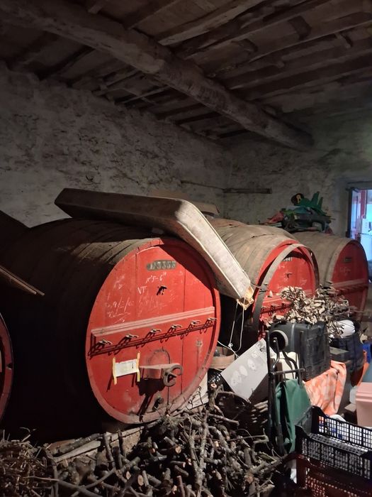 Pipas de vinho em madeira.