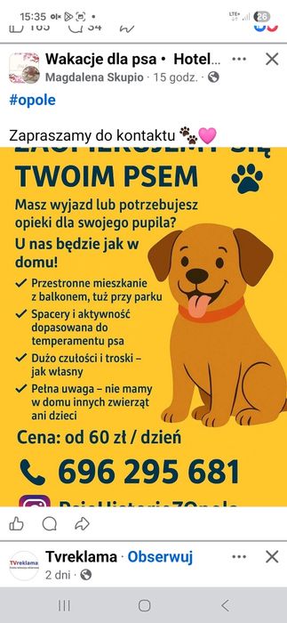 Opieka nad psem i kotem/ psi hotel