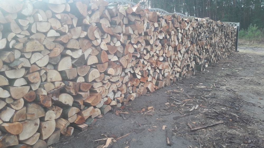 Drewno opałowe  Sosna Buk dąb