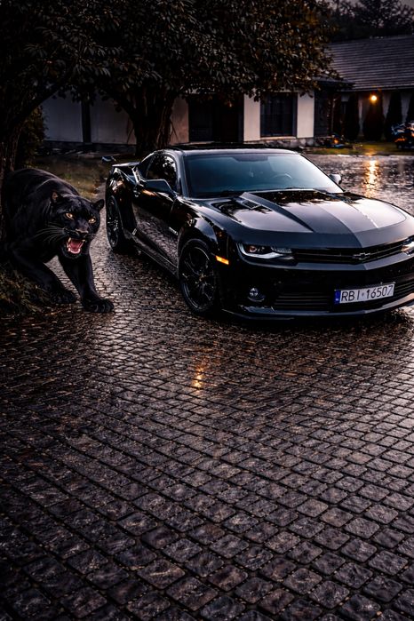 Chevrolet Camaro 3.6 V6 2015 • Automat • Zadbany • Okazja