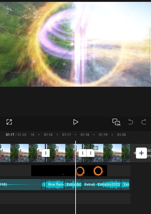 Editor de Vídeo Particular