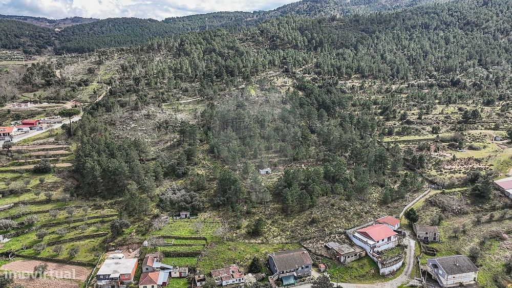 Terreno  para venda
