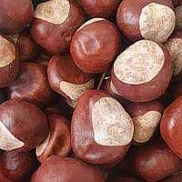 Продам каштан 2025 р. Сухий, дроблений. 25 тонн.