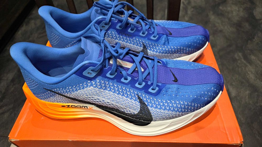 Nike Pegasus Plus