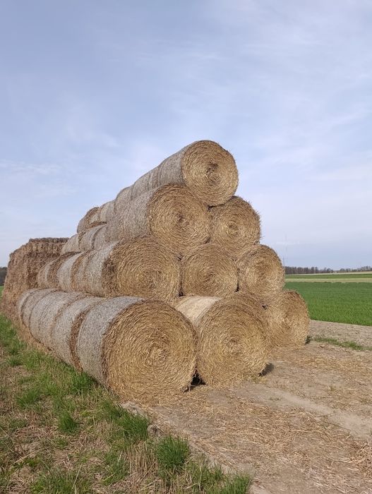 Wymienię słomę na obornik