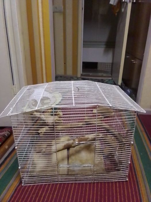 Клетка для грызунов