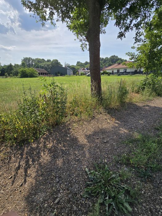 Sprzedam działkę budowlaną 12 arow