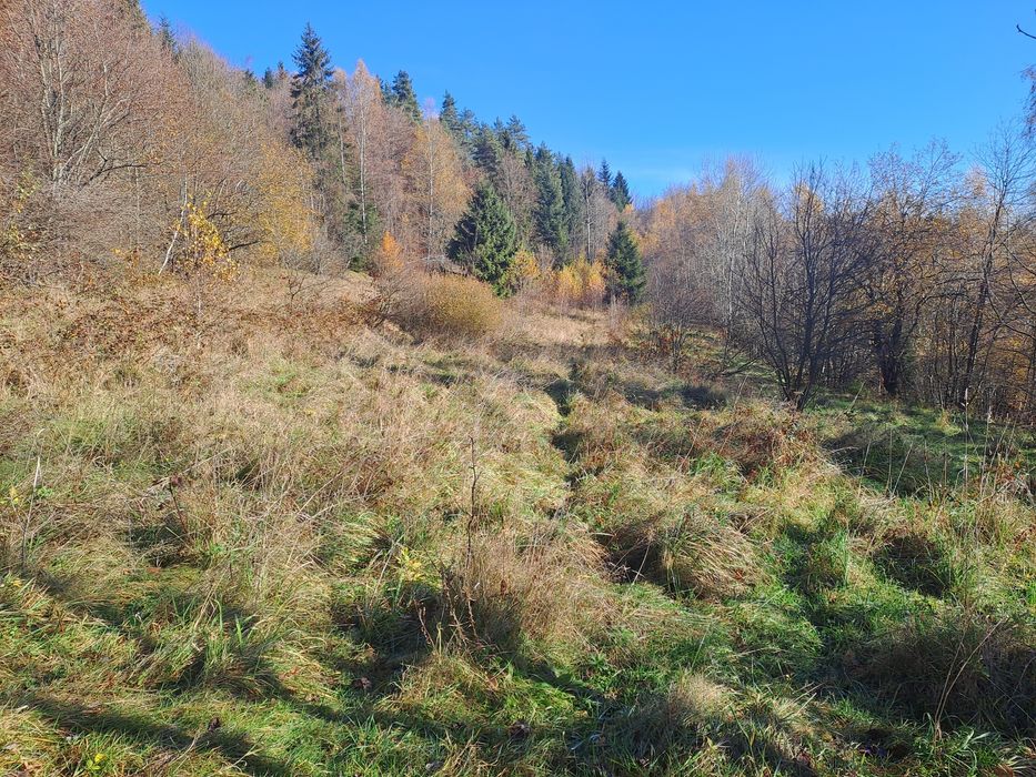 Działka rolna Gruszowiec 46ar