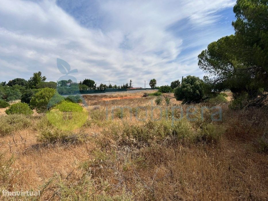Terreno Amplo Com Poço-Boas Vistas E Pinheiros A 4Km Da Praia
