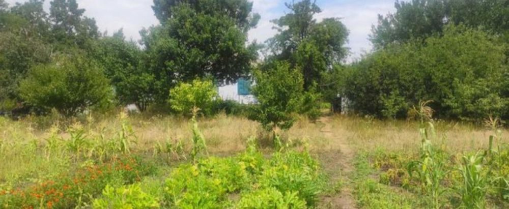 Продам будинок в Обухівці біля лісу