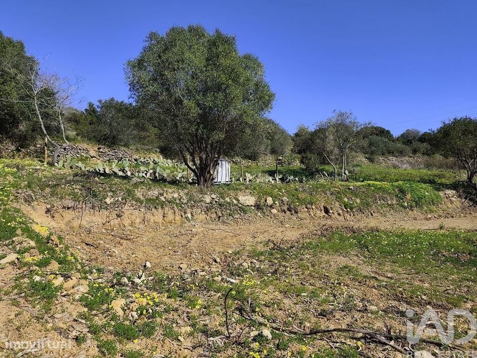 Terreno Agrícola em Mafra