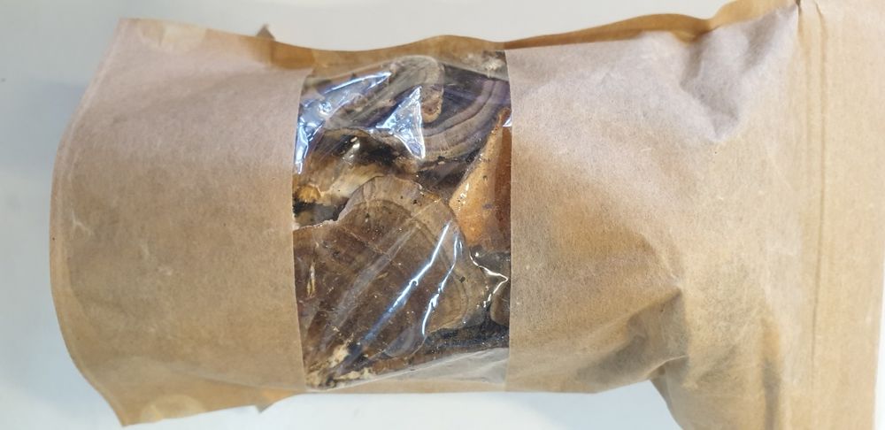 Wrośniak różnobarwny Trametes versicolor suszony 50 gram