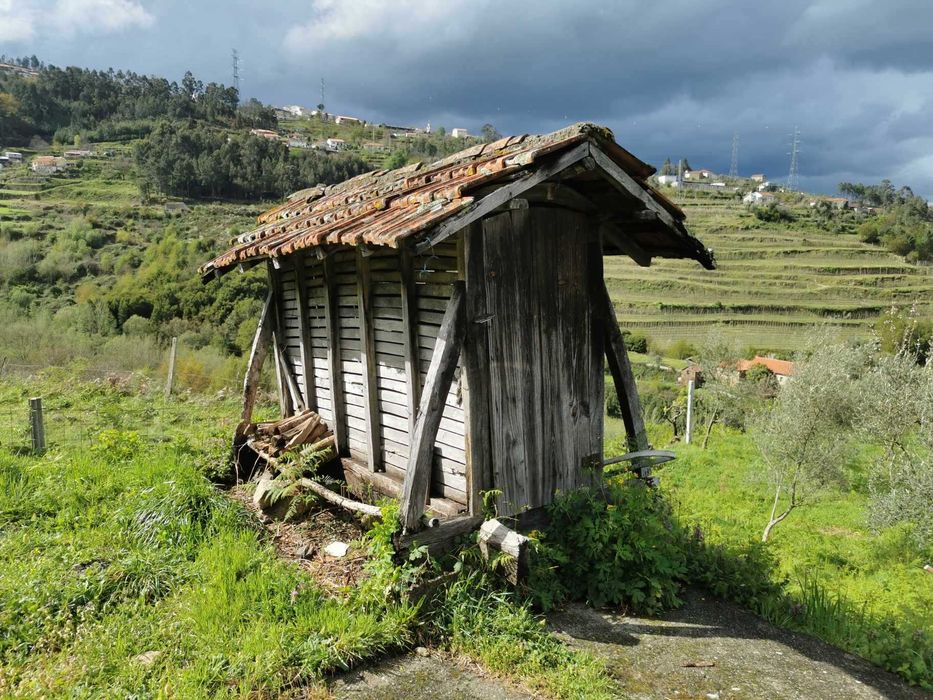 Quinta no Douro a 45min do Porto - Plano, tranquilo Varias construçoes