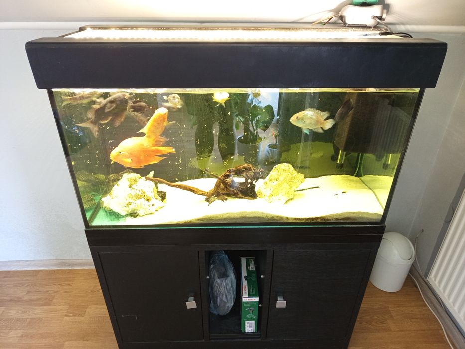 Sprzedam akwarium 200