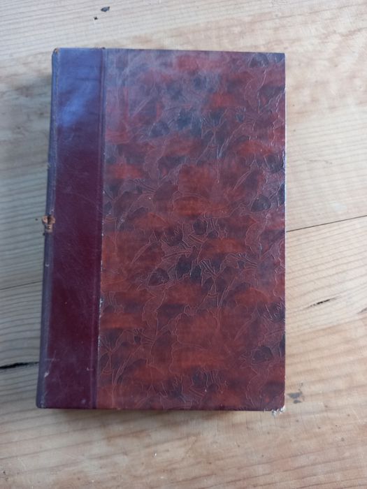 Iniciação Literária