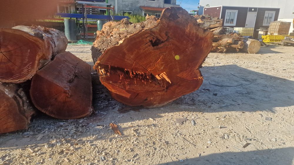 Lote de troncos paus para tampos de mesas rusticas carvalho cedro euca
