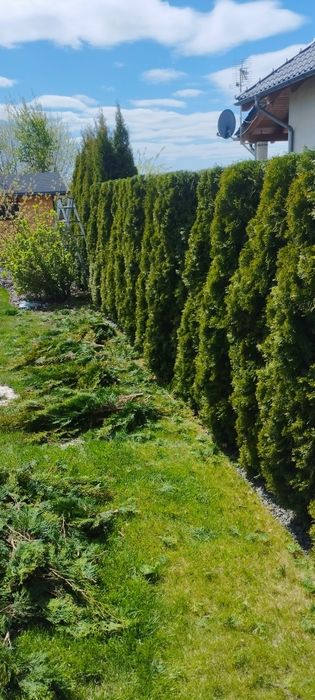 Prace ogrodnicze rębak wertykulacja glebogryzarka zagęszczarka koszeni