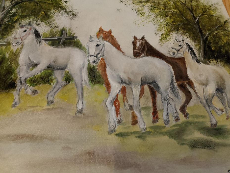 Słodkie koniki obraz 50/40 cm