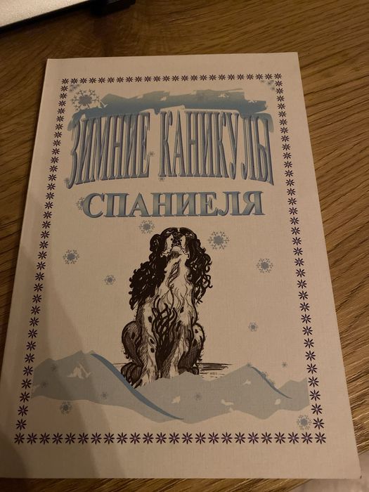 Зимние каникули спаниеля